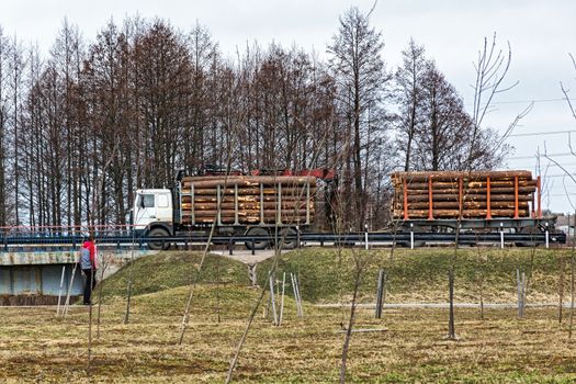 Special truck transports trunks of felled trees