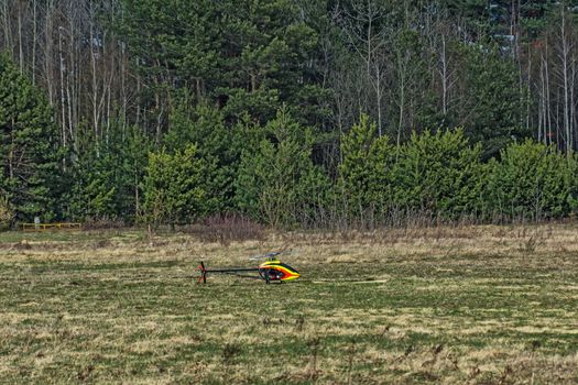 Radio-controlled helicopter