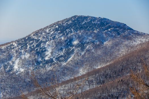 View of the snow-capped mountains covered with bare trees and fir trees