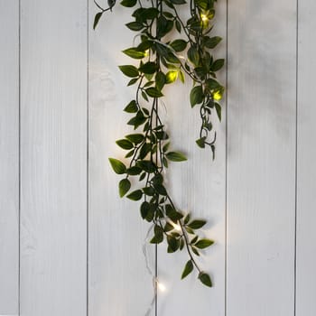 a row of small lights and a climging plant on a wooden background