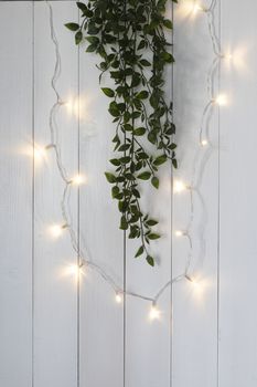 a row of small lights and a climging plant on a wooden background