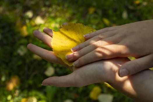 a leaf on a female hand in autumn