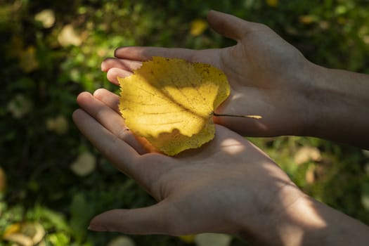 a leaf on a female hand in autumn