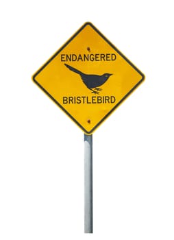 Australian sign of endangered bristlebird crossing the road isolated on white