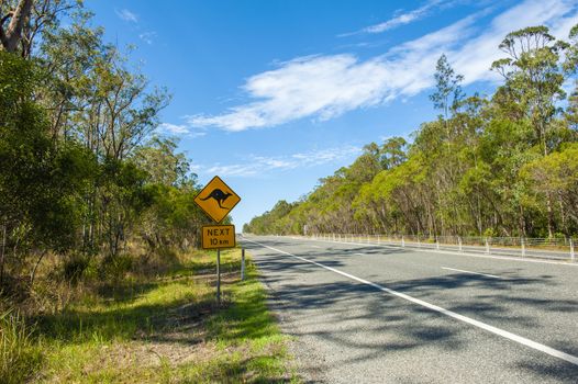 Kangaroo warning sign in New South Wales, Australia