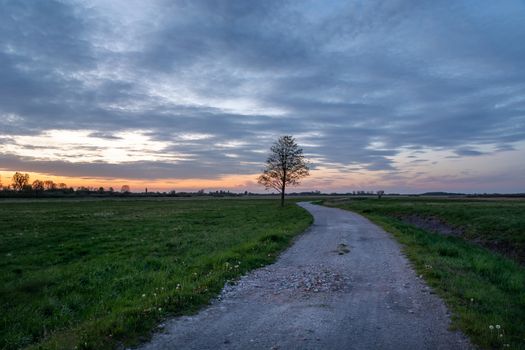 Gravel road and a lonely tree, clouds after sunset, spring view