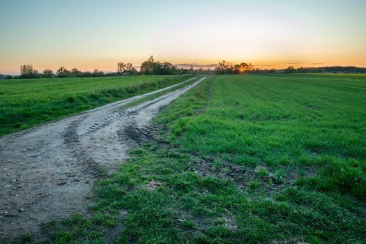 Exit onto a dirt road with green fields and sunset, evening spring view