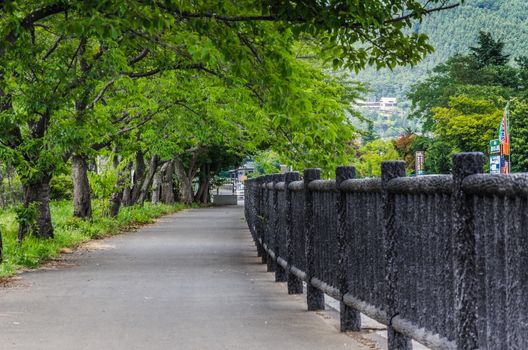 A path to the forest