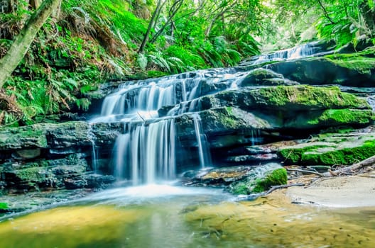 waterfall in australian forest