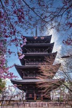 This is second tallest pagoda of osaka japan which is made by wooden items