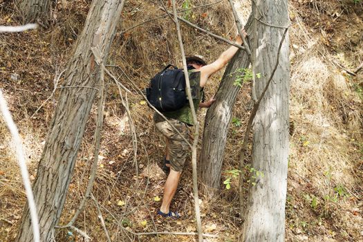 a man with a backpack climbs the mountain between the trees, back view