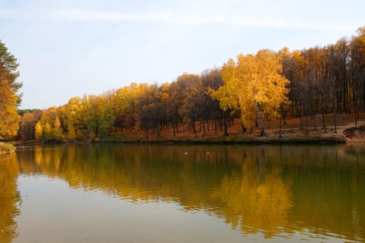 autumn forest is reflected in the river water.