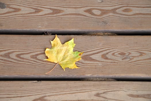 one yellow maple leaf on wooden planks close-up