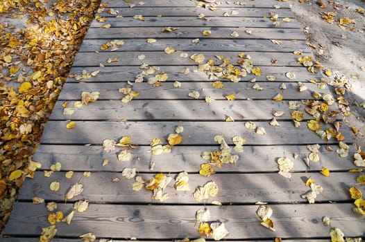 yellow autumn leaves on a wooden path in the park on a sunny day