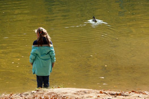 child girl stands by the lake and looks at the floating duck.