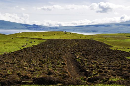 Valley of the caricatured plants and food, in Europe