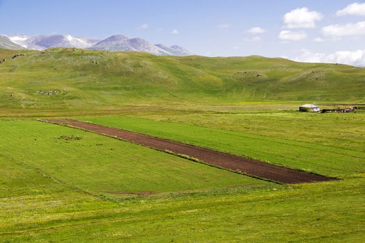 Valley of the caricatured plants and food, in Europe