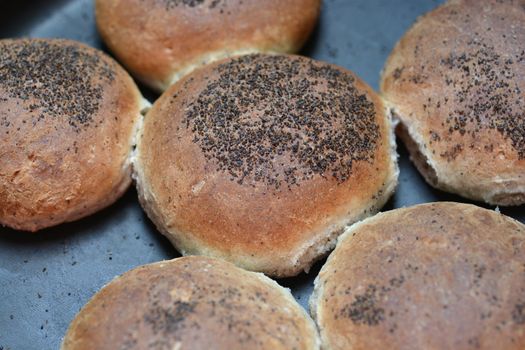 Close up of homemade hamburger buns with poppy seeds