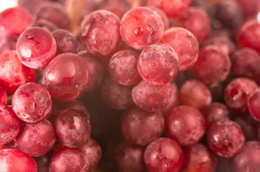 Red ripe grapes with water spray to freshness after harvesting on wooden background.