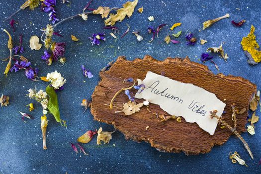 Autumn vibes travel memories, dried plants and flowers, copy paste space, letter and words on the old paper, herbarium theme.