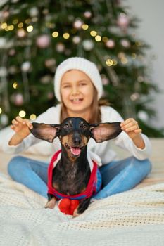 Happy childhood, Christmas magic fairy tale. A little girl is laughing with her friend, a dachshund dog, near the Christmas tree.