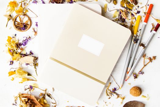 Notebook, pencils and plants on the white background, studio shot. Colorful stationery things and accessories. Marketing photos for business and web.