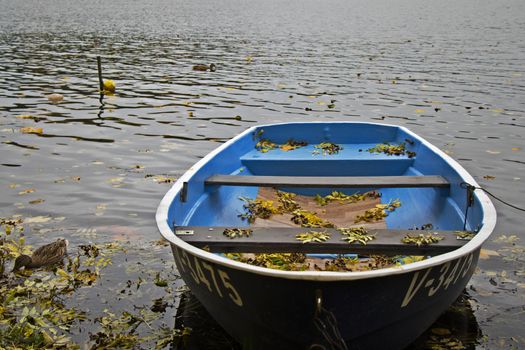 Old wooden boats near the beach of Trakai Gavle lake , Lithuania. Autumn and fall time.