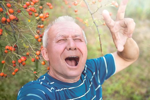 positive retired grandfather, makes selfie with a smartphone in the park. an elderly man walks in nature.