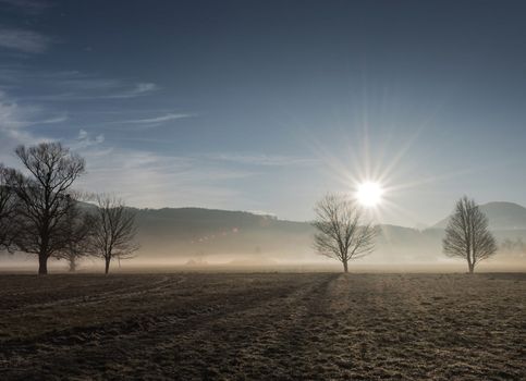 Beautiful pictures of  Liechtenstein