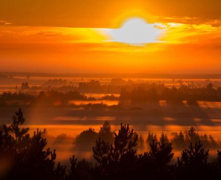 Beautiful pictures of  Lithuania