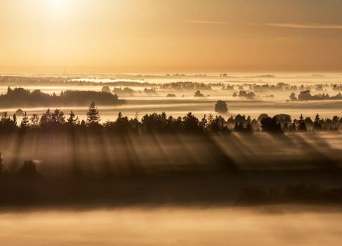Beautiful pictures of  Lithuania
