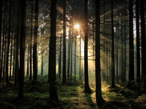 Beautiful pictures of  Lithuania