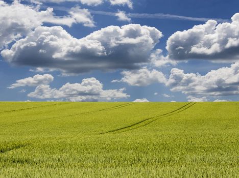 Beautiful pictures of  Lithuania