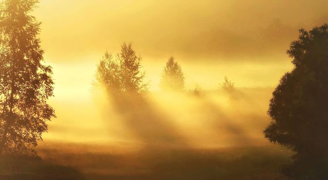 Beautiful pictures of  Lithuania