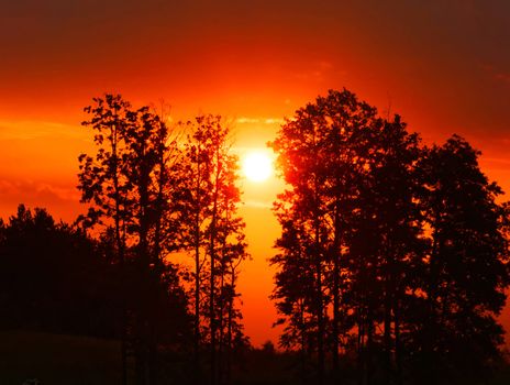 Beautiful pictures of  Lithuania