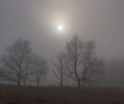 Beautiful pictures of  Lithuania