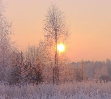 Beautiful pictures of  Lithuania