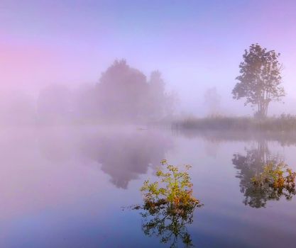Beautiful pictures of  Lithuania