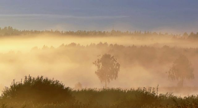 Beautiful pictures of  Lithuania
