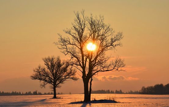 Beautiful pictures of  Lithuania