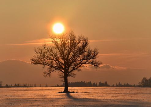 Beautiful pictures of  Lithuania