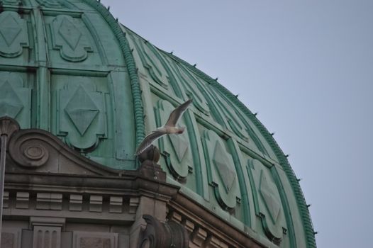 bird flies over old building