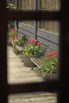 bench and flowers from wooden window frame