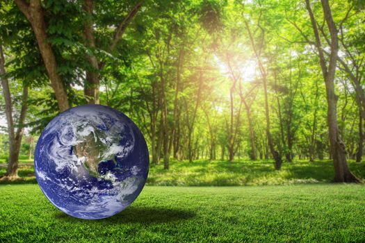 Planet earth beautiful on green grass with nature blur bokeh background, world with conservation and resource for renewable, environment concept, Elements of this image furnished by NASA.