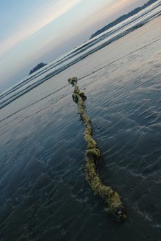 rope on a calm beach in the evening