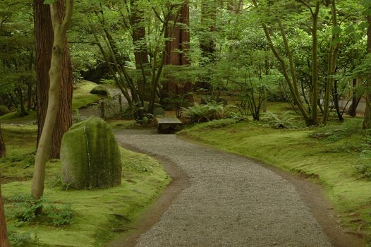 humid walkway in Japanese garden