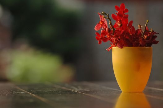 red flowers in yellow vase on a table