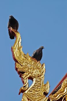 Birds on top of Naga dragon golden statue in Northern Thailand temple