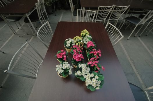 a bunch of flowers on wooden table