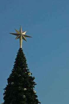 Christmas tree and the star